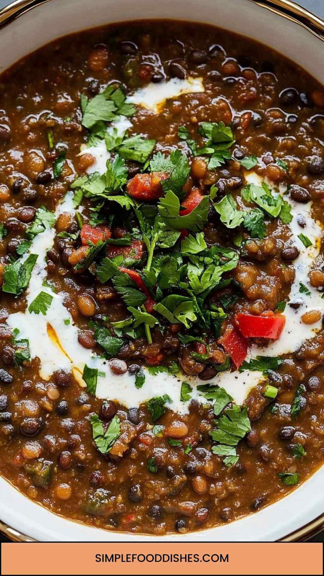 Best Black Lentils Recipe