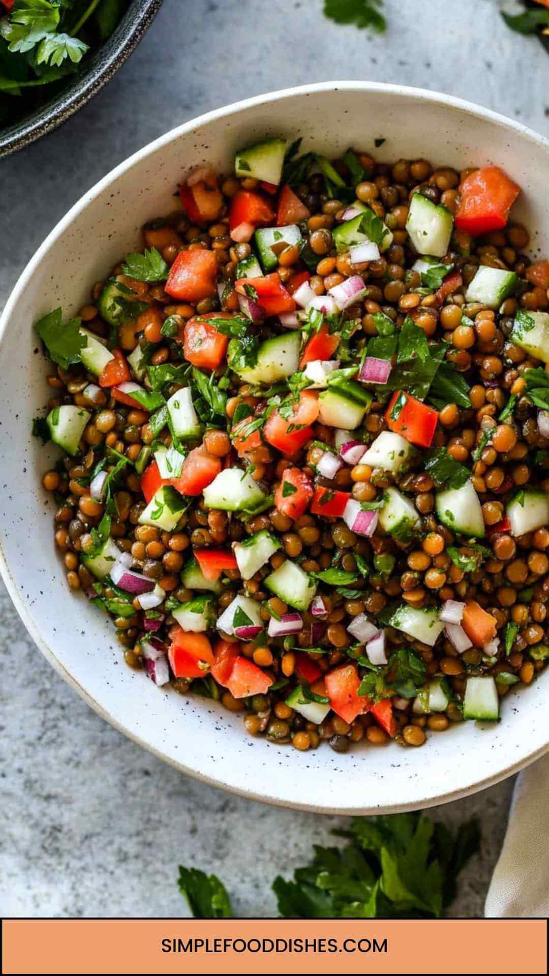 Best Lentil Salad Recipe